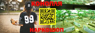 МДПВ Можайск