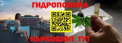 эйфоретик Моздок