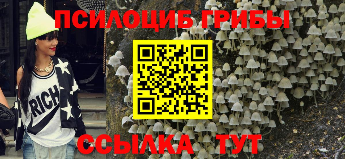 Псилоцибиновые грибы Cubensis  Вход с VPN  Псилоцибиновые грибы мицелий  Нурлат 